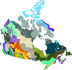 Terrestrial ecoregions CAN