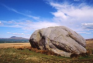 The Great Stone of Fourstones, Near High Bentham - geograph.org.uk - 964323