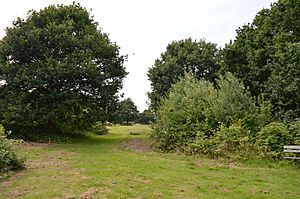 Tiptree Parish Field 4.jpg