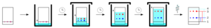 Tlc sequence