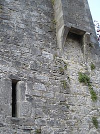 Tower at Magdalena Court in Kilkenny 3