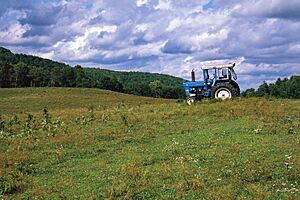 Tractor in a Field in Wyoming County