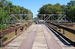 VidaShawBridge