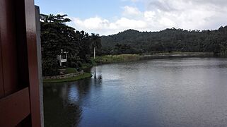 Vido el la Domo-muzeo de Polo Montañez (Las Terrazas) 02