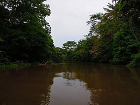 View of Caño Negro Wildlife Reserve.JPG