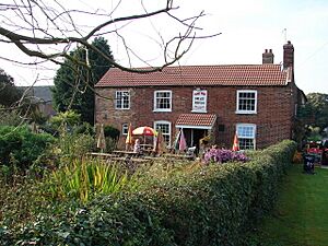 Vine Inn, South Thoresby - geograph.org.uk - 1003681