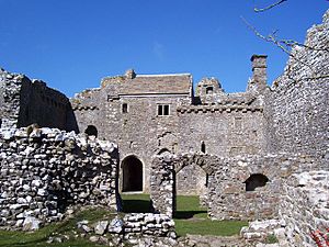 Weobley Castle 2
