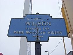 Official logo of Borough of Wilson