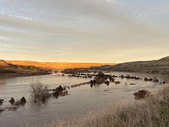 2020 Walla Walla River flood.jpeg