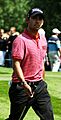 23 BMW International Open bei Muenchen LARRAZABAL Pablo 001