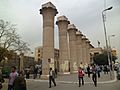 Ain Shams University-Main Gate