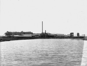 Alligator Creek Meatworks, 1917