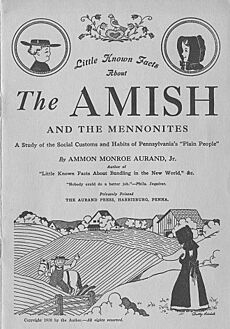 Amish cover