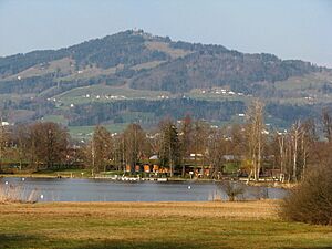 Bachtel - Egelsee (Bubikon) - Bubikon Widerzell IMG 4941