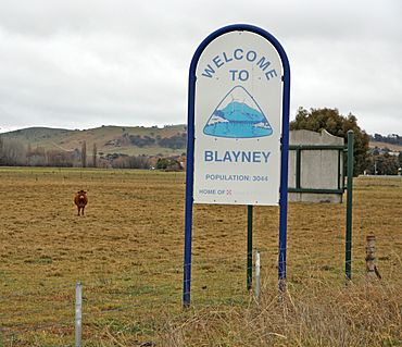 Blayney Town Sign.jpg
