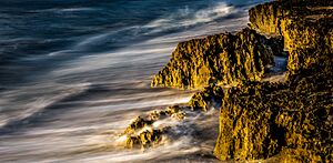 Blowing Rocks Preserve Jupiter Island Florida