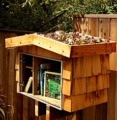 Book Container for Little Free Library