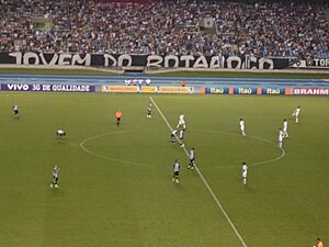 Botafogo x Santos (2008)