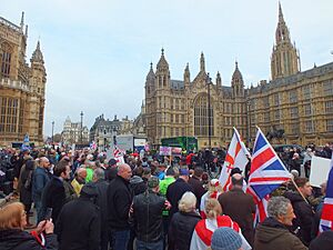 Brexit Campaigners out side Parliament November 2016