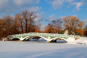 Bridge at the Toronto Islands in March 2008