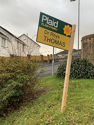 Bwrdd Plaid Cymru yng Ngaerfyrddin ar gyfer etholiad 2019