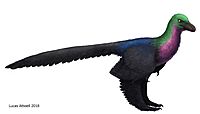 Caihong , life restoration.jpg