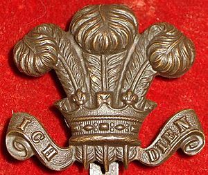 Civil Service Rifles badge