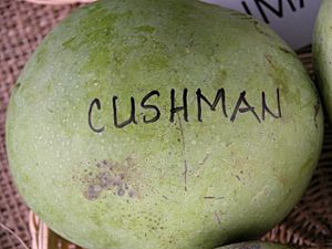 Cushman FS Asit