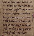 Domnall mac Muirchertaig (Annals of Inisfallen)