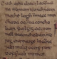 Domnall mac Muirchertaig (Annals of Inisfallen)