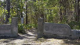Entrance to Angophora Reserve .jpg