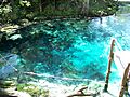 Fanning Springs Park springs01