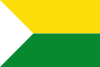 Flag of Chaguaní