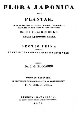 Flora Japonica cover
