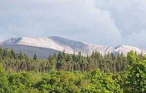Grey Corries from the north