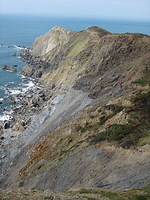 Higher Sharpnose Point - geograph.org.uk - 1570188