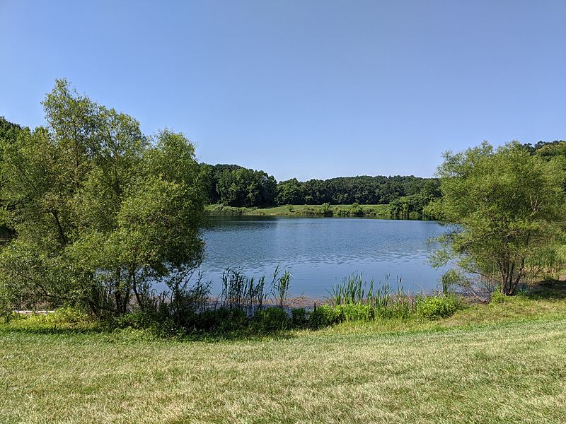 Indigo Lake (Ohio), Summer 2020