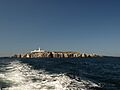 Inner Farne Wide View