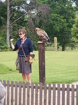 Jemima Parry-Jones with tawny eagle