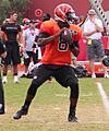 Josh Johnson (quarterback) 2013