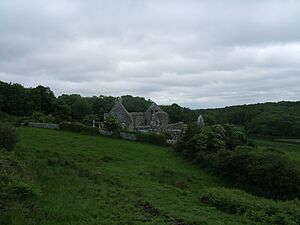 Killone Abbey June 2005