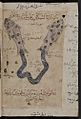 Kitab al-Bulhan --- zodiac fish pisces