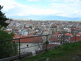 View of Kozani.