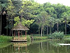 Kunming Botanical Garden - DSC03095