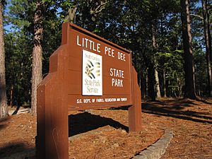 Little Pee Dee State Park, Dillon County, South Carolina.jpg
