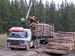 Loading timber in the Naver Forest - geograph.org.uk - 158009