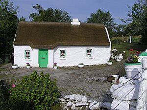 Margaret Gallagher's Home - geograph.org.uk - 810434