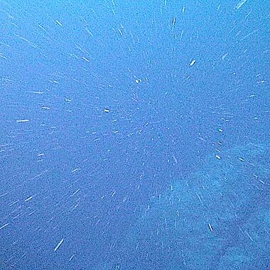 Marine snow