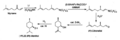 Menthol synthesis