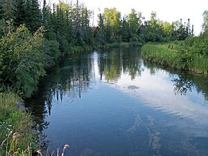 Mineral River downstream